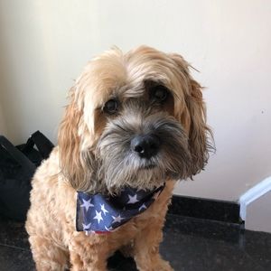 Meet your Posher, Posh